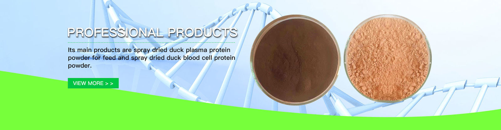 Spraygetrocknetes Plasma-Protein