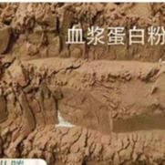 Geflügel-Zufuhr-Zusatz-Hersteller spraygetrocknetes Duck Plasma Protein Powder, moderne Verfahrenstechnik, sofortiges Hig