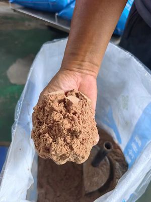 Proteinreiche Zusatzstoffe für Hundefutter und sichere Ernährung