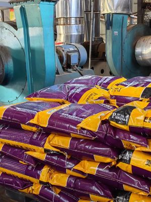 Isoelektrischer Punkt 7.3 Hämoglobinkonzentriertes Pulver Nahrungsergänzungsmittel innerhalb von 2-8°C