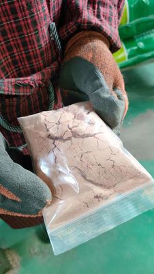 Salmonellen nicht nachweisbar Sprühen Trockneter Tierplasma mit speziellem Geruch von Blutprodukten